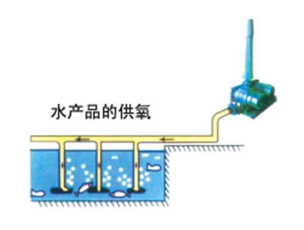 水產養殖供氧